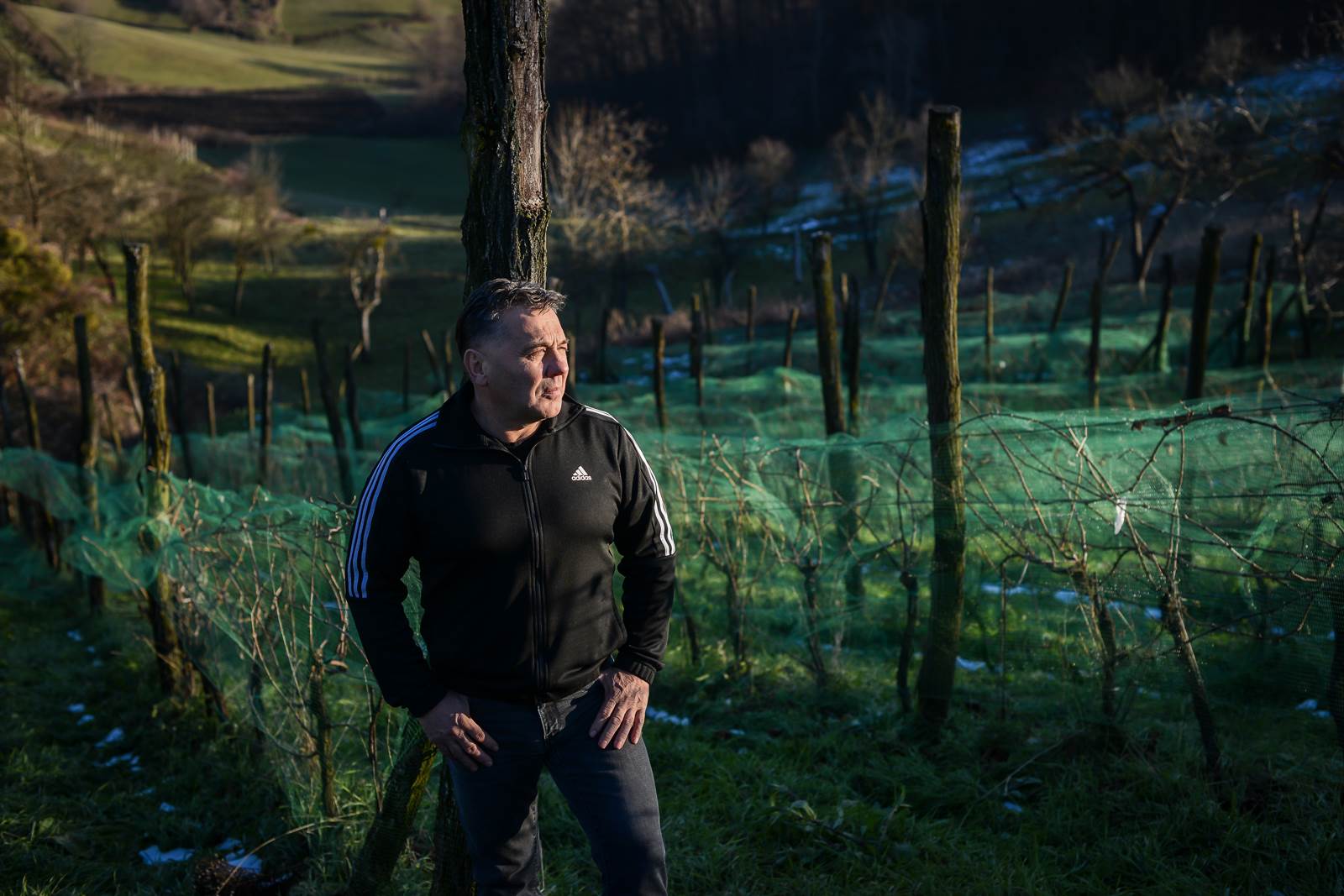 LEDENE BERBE Syrah su pobrale ptice, a traminac je ostao za nas