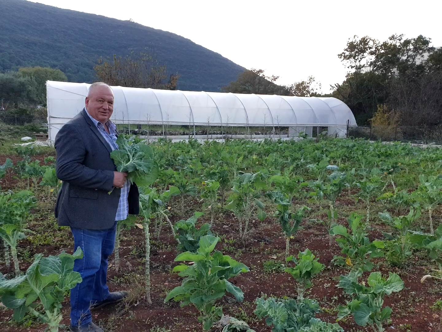 Božidar Šare, glavni ambasador raštike