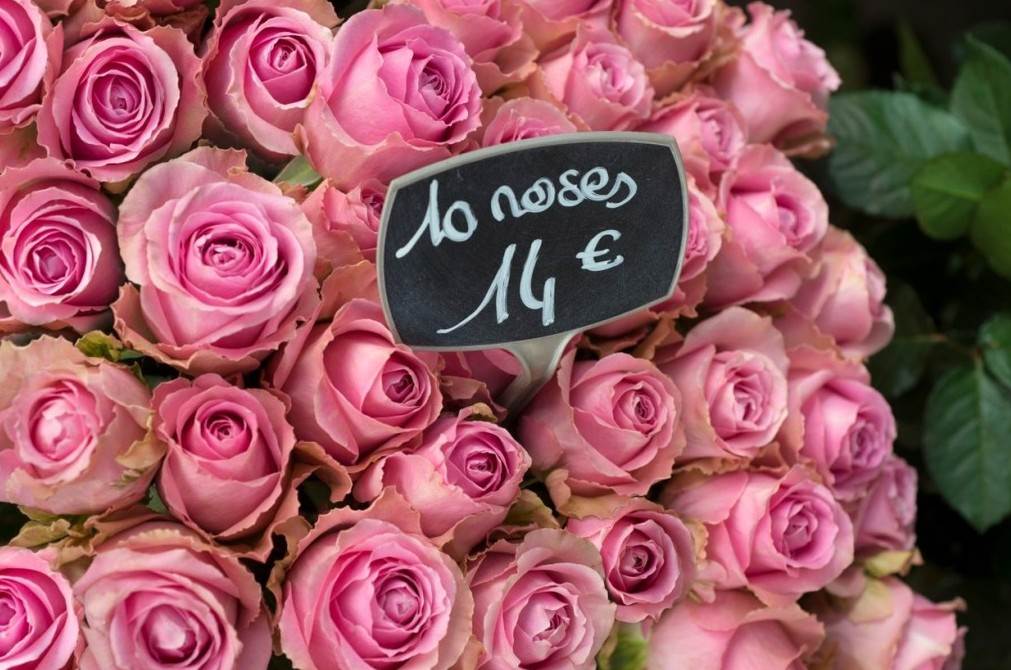 Gdje nas to vodi storybookova kolumnistica Mirela Forić