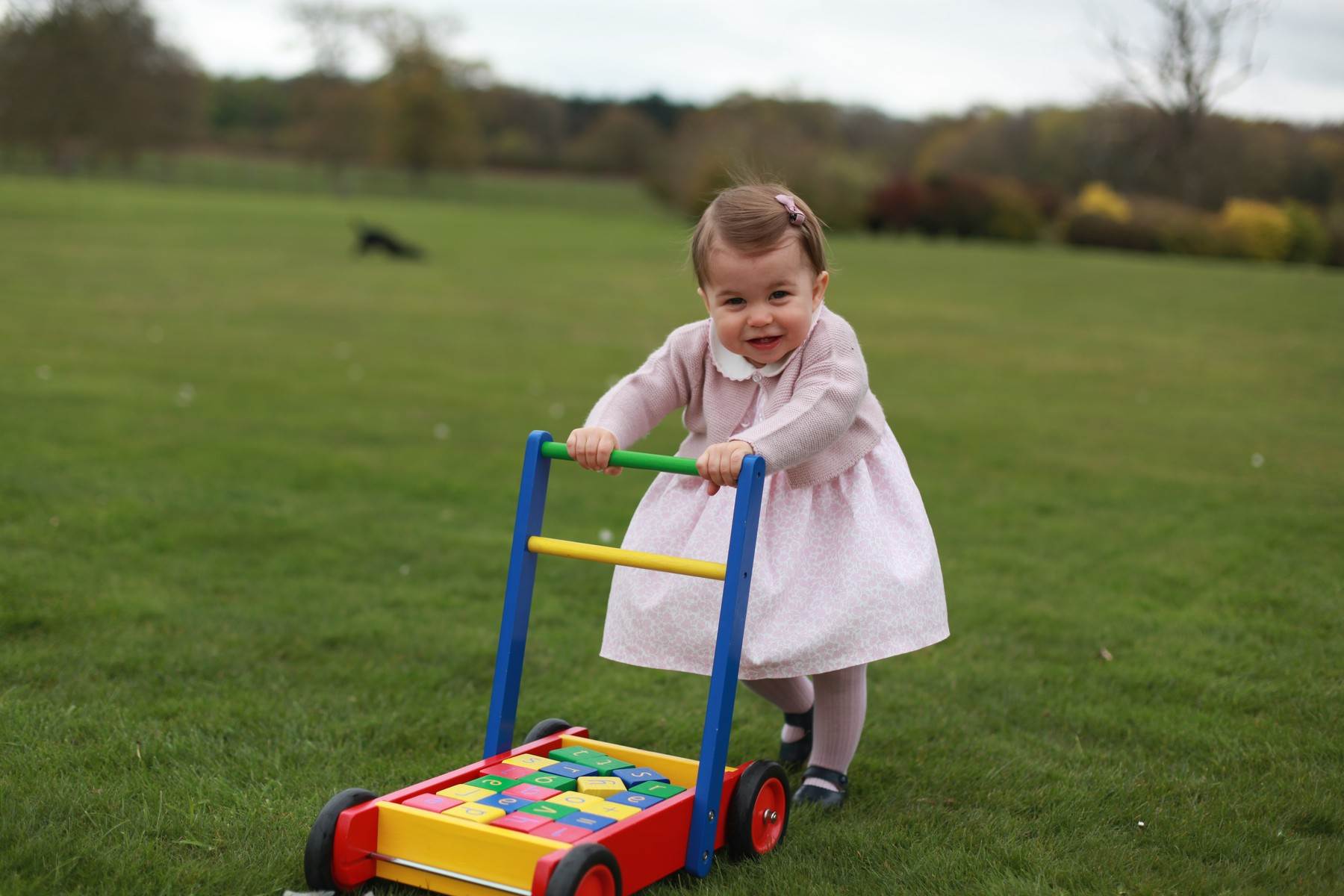 PRINCEZA CHARLOTTE SLAVI 6. ROĐENDAN Novi portret oduševio je javnost