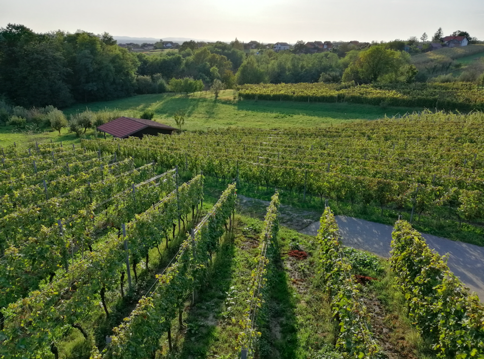 Vinarija Kašner domaćin je Wine&Bike vinske biciklijade