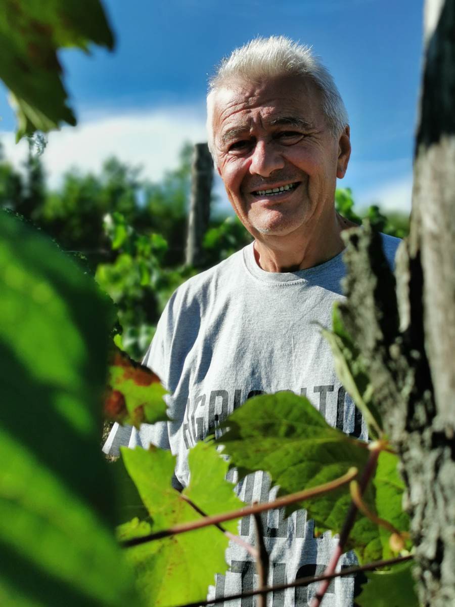 Polozaj Clai vinograd