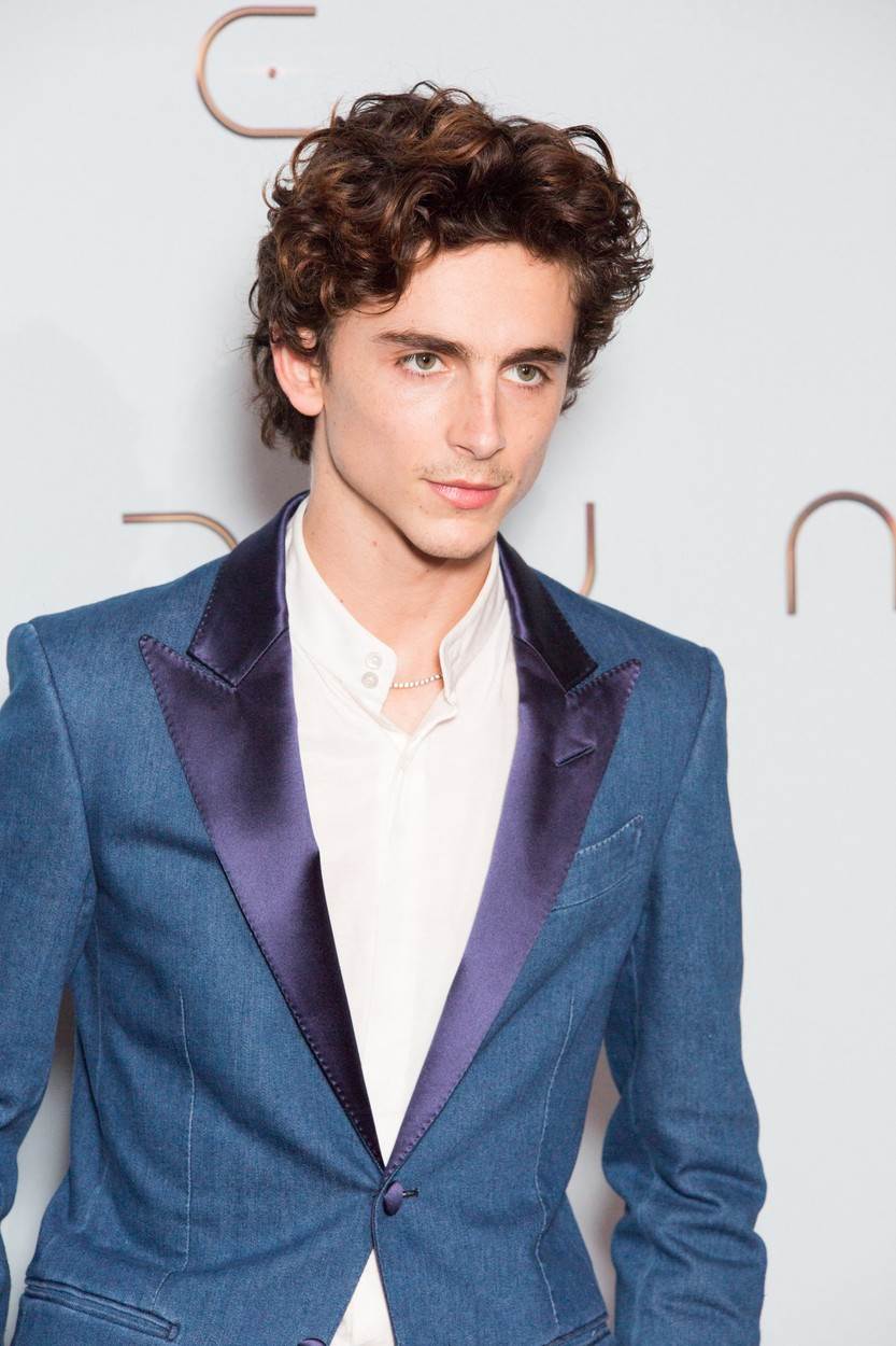 Timothee Chalamet