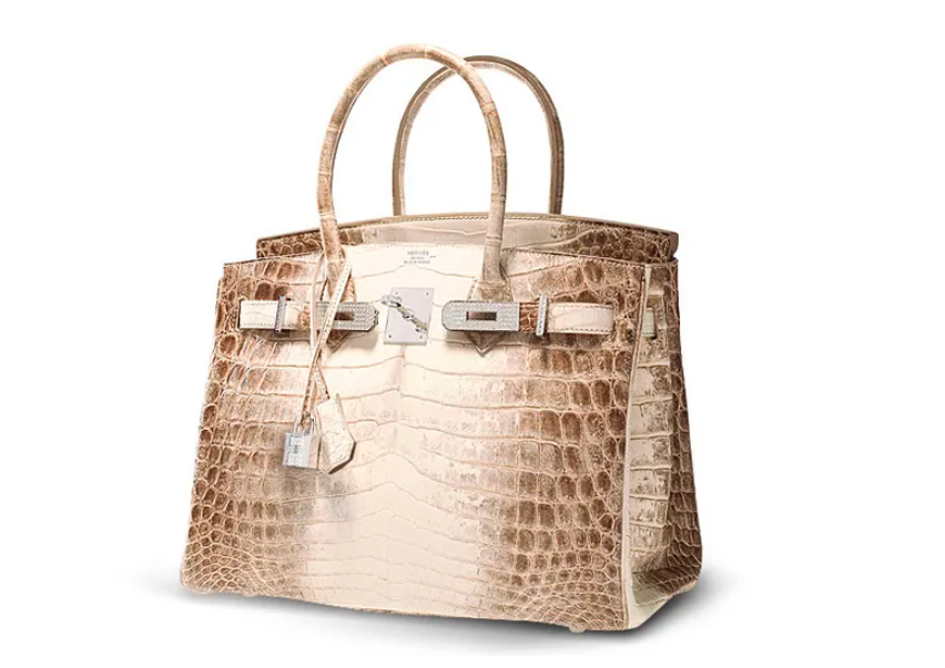 Niloticus Crocodile Himalaya Birkin