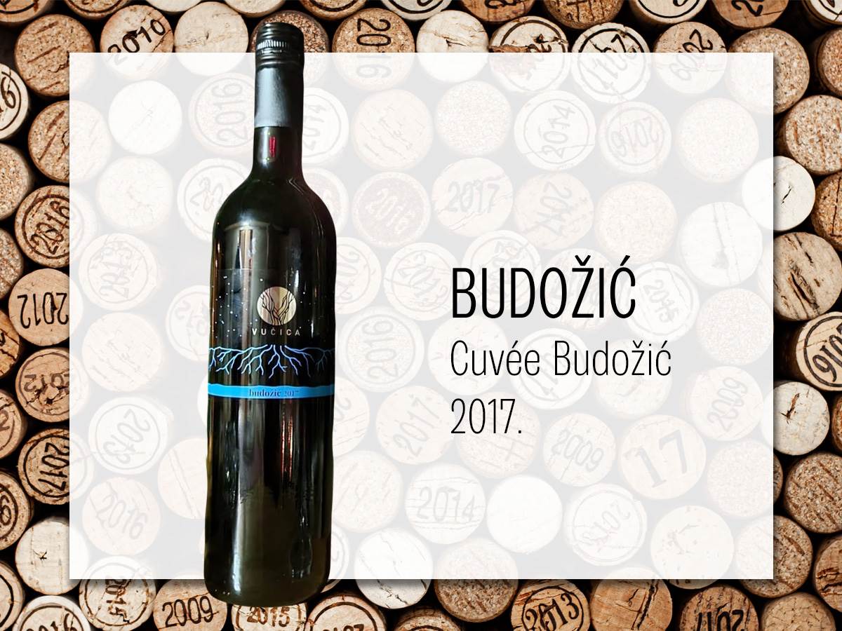 Vinska-trica_17092021_Budozic