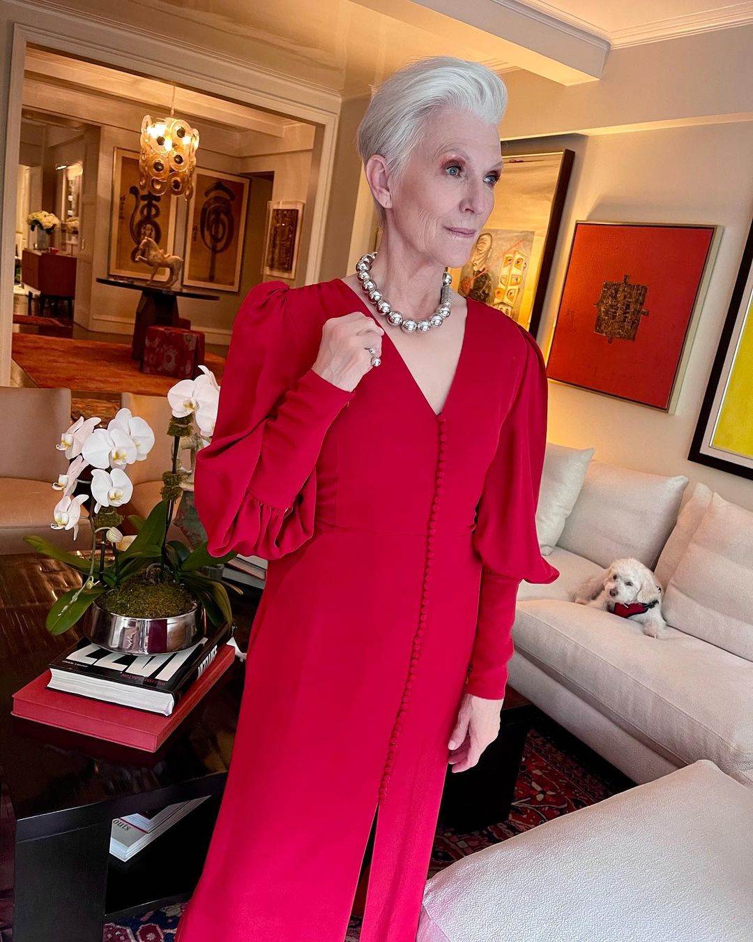 maye musk 3