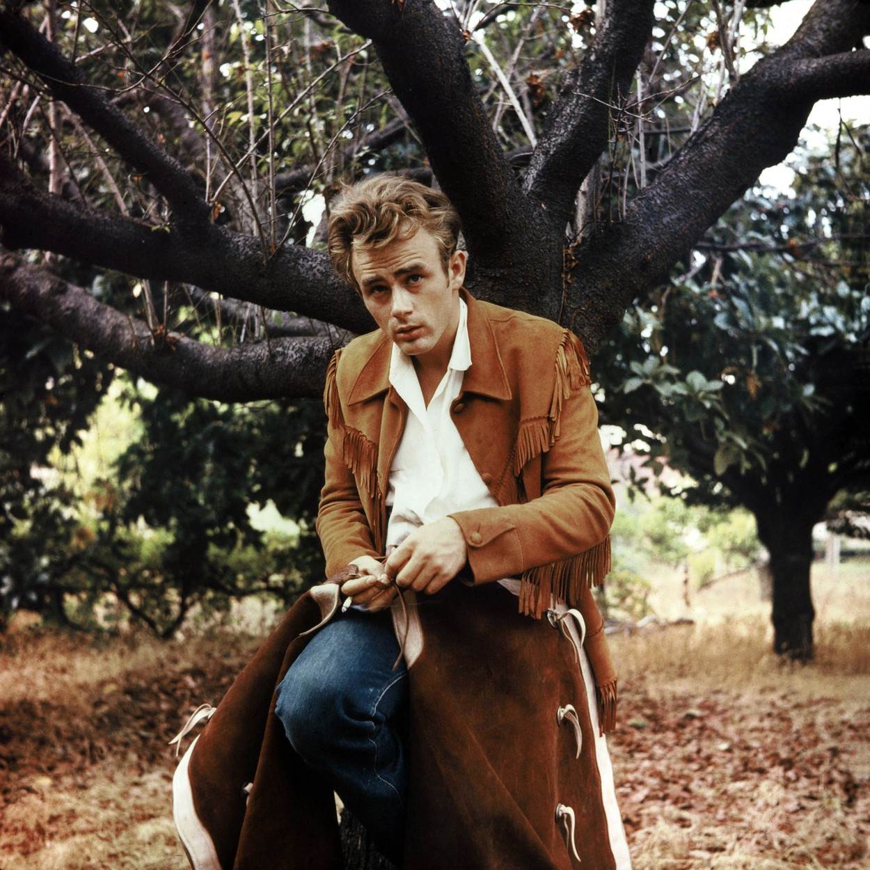 James Dean nazvan je buntovnikom bez razloga