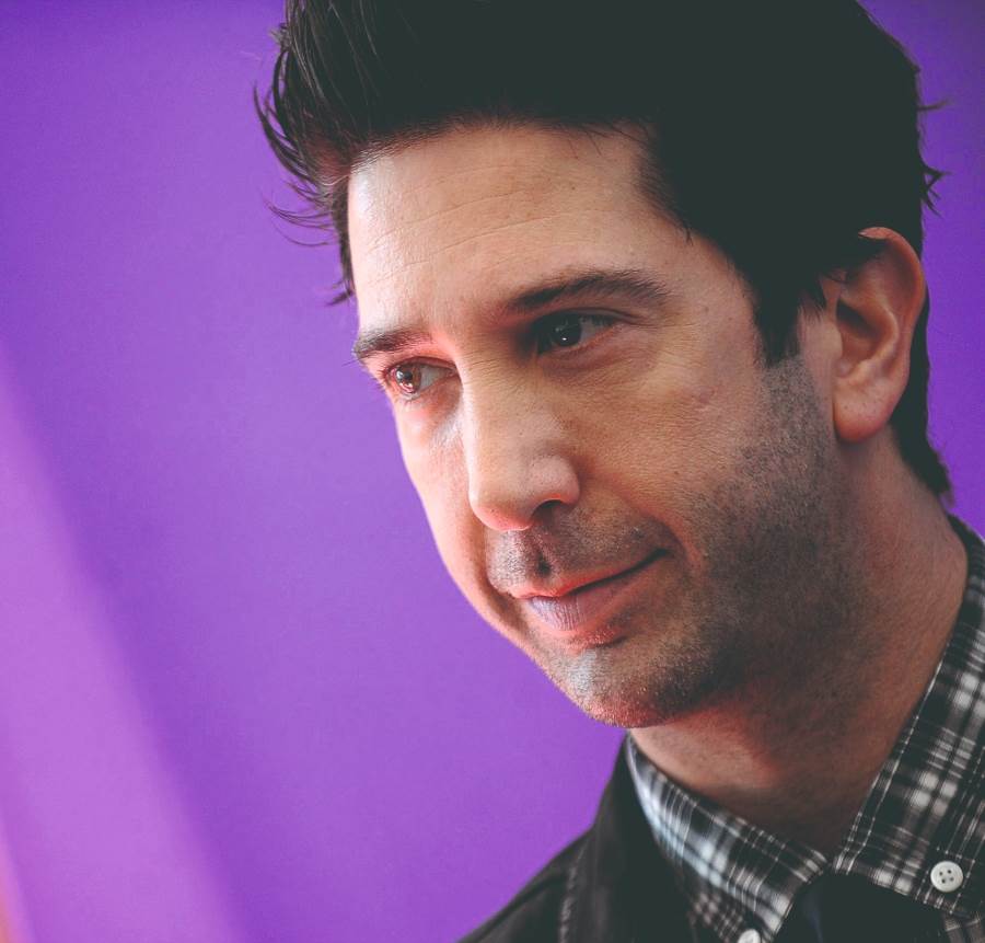 David Lawrence Schwimmer