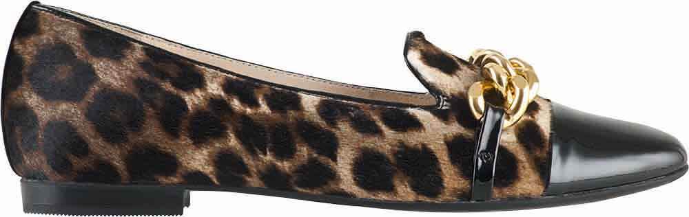 obucite-hoglice-i-probudite-zvijer-u-sebi