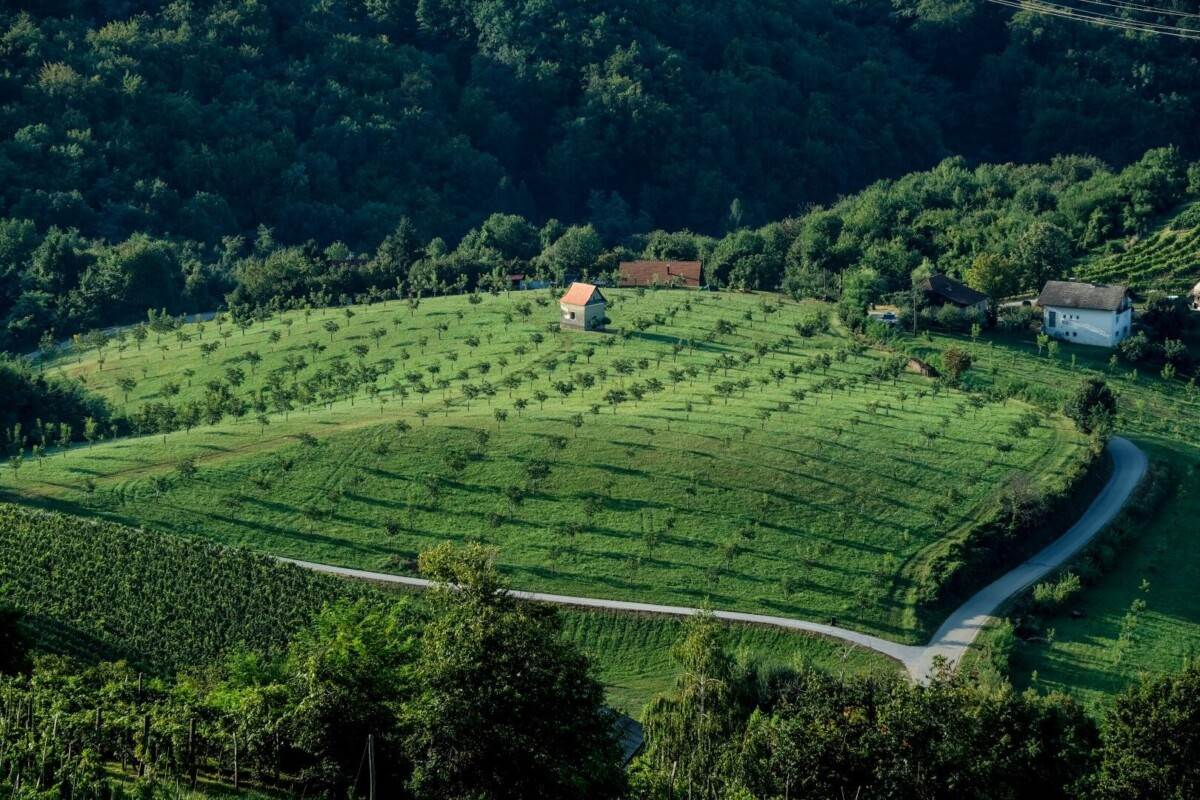 destinacijsko-vjencanje-u-sloveniji