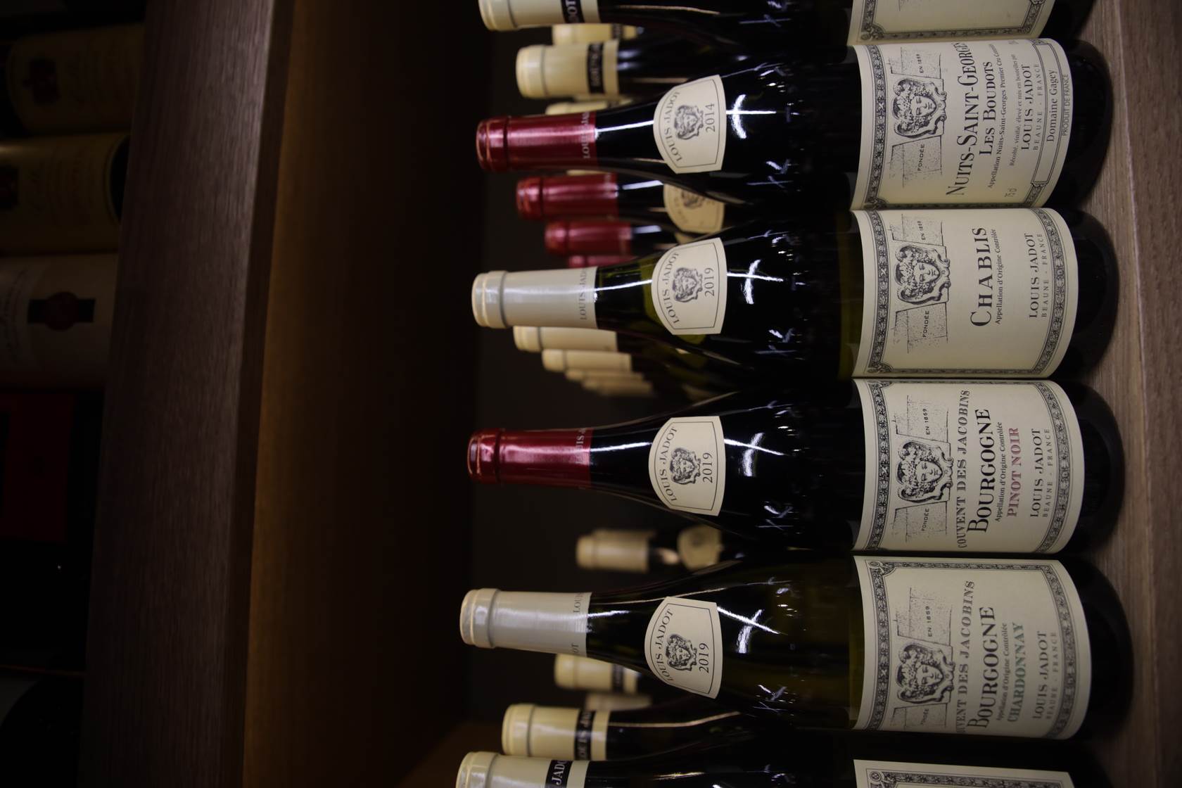 vinoteka atrox