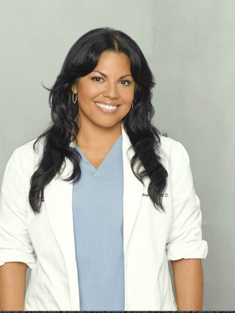 Sara Ramirez u Uvodu u anatomiju