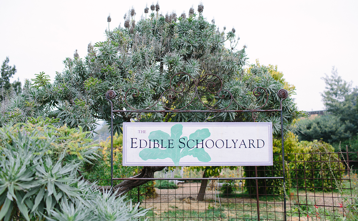 The Edible Schoolyard Project