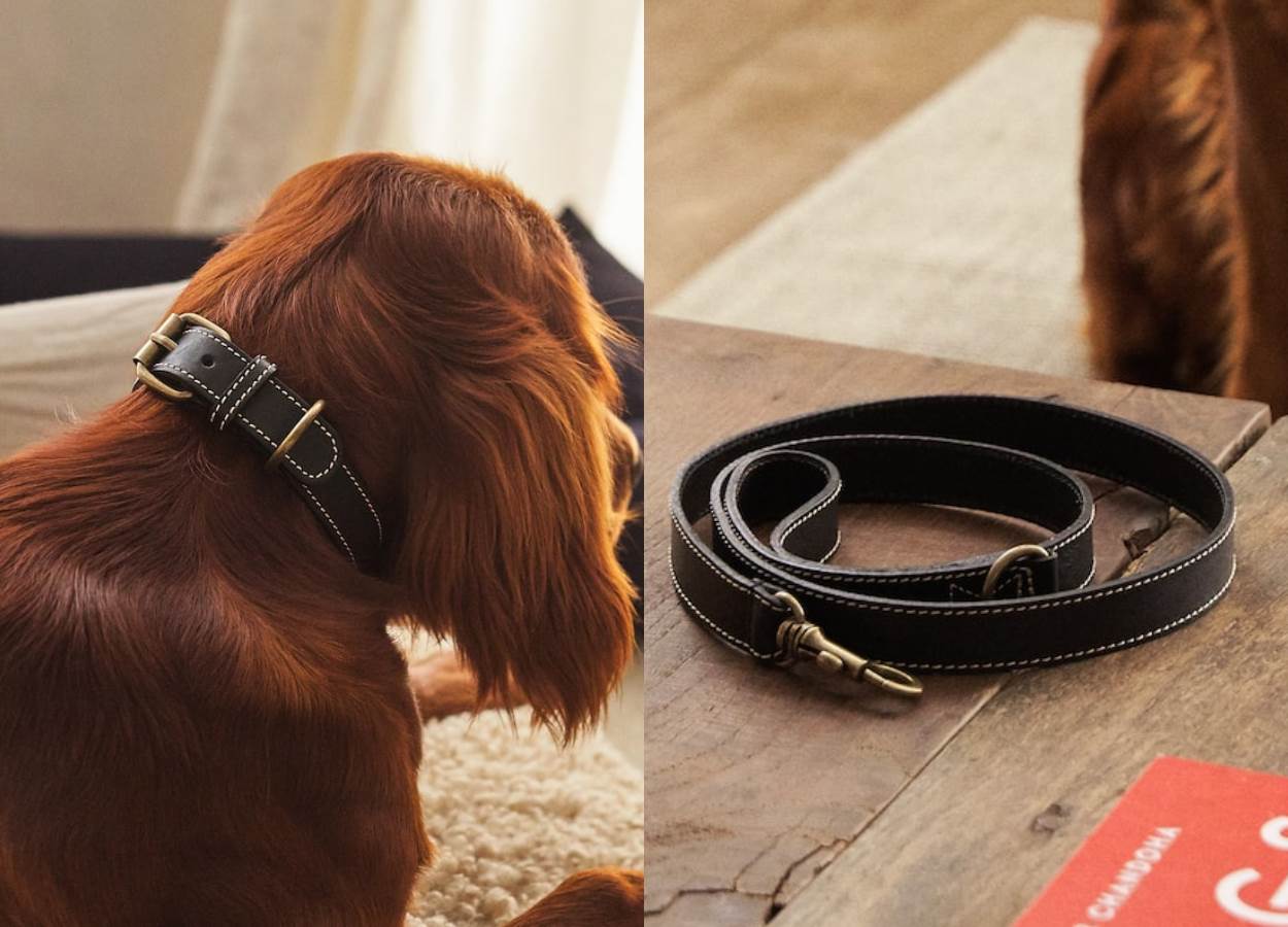 Leather Pet Lead