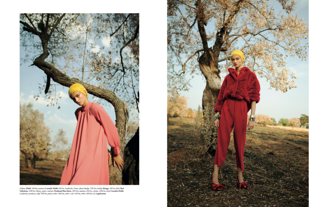 Raskošno jesensko izdanje vodećeg lifestyle magazina Storybook je na kioscima