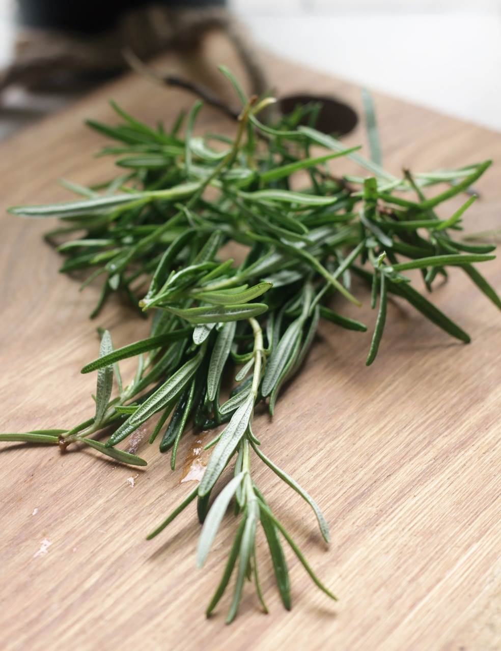 rosemary-g95e210720_1280.jpg