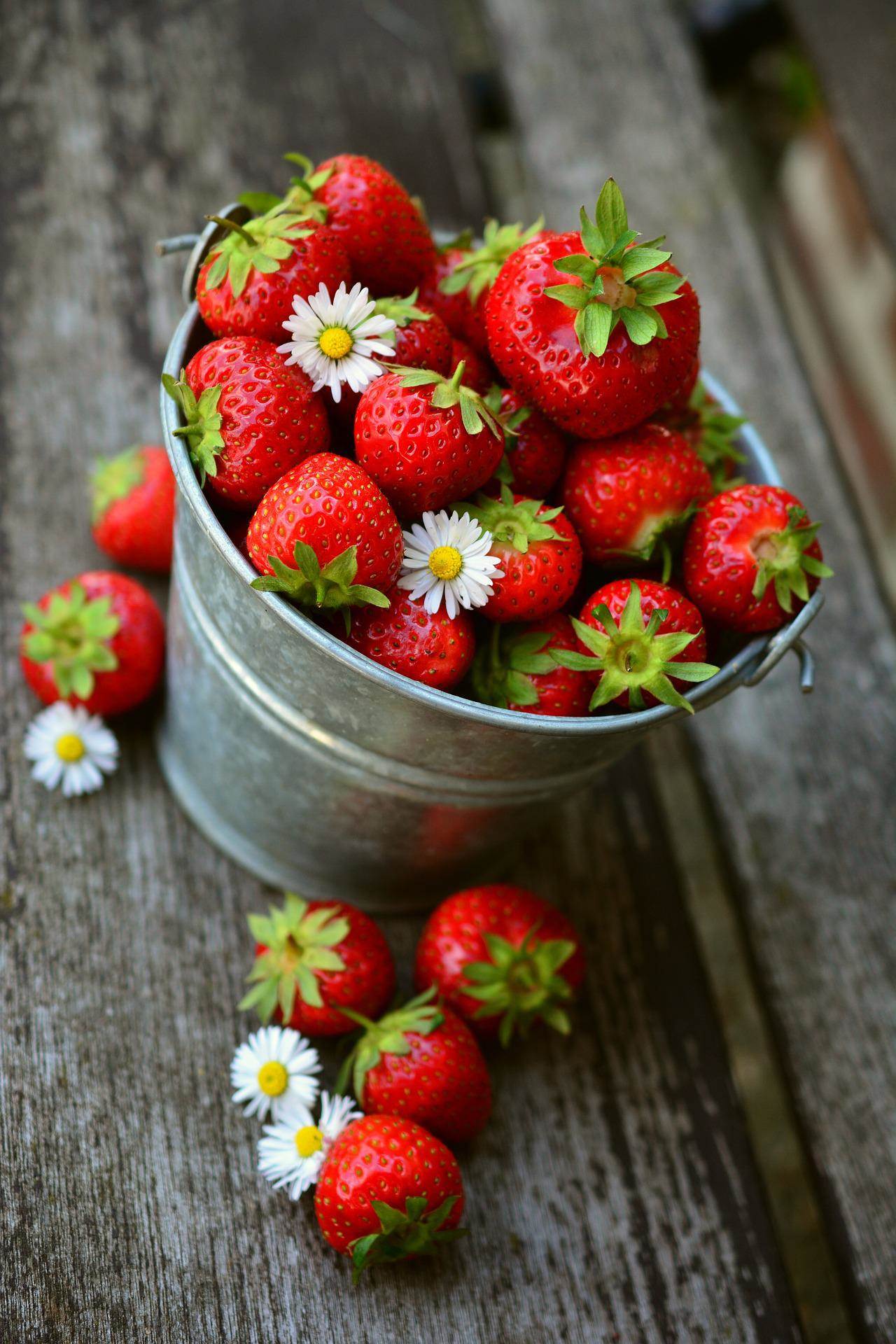 strawberries-g59a17261f_1920.jpg