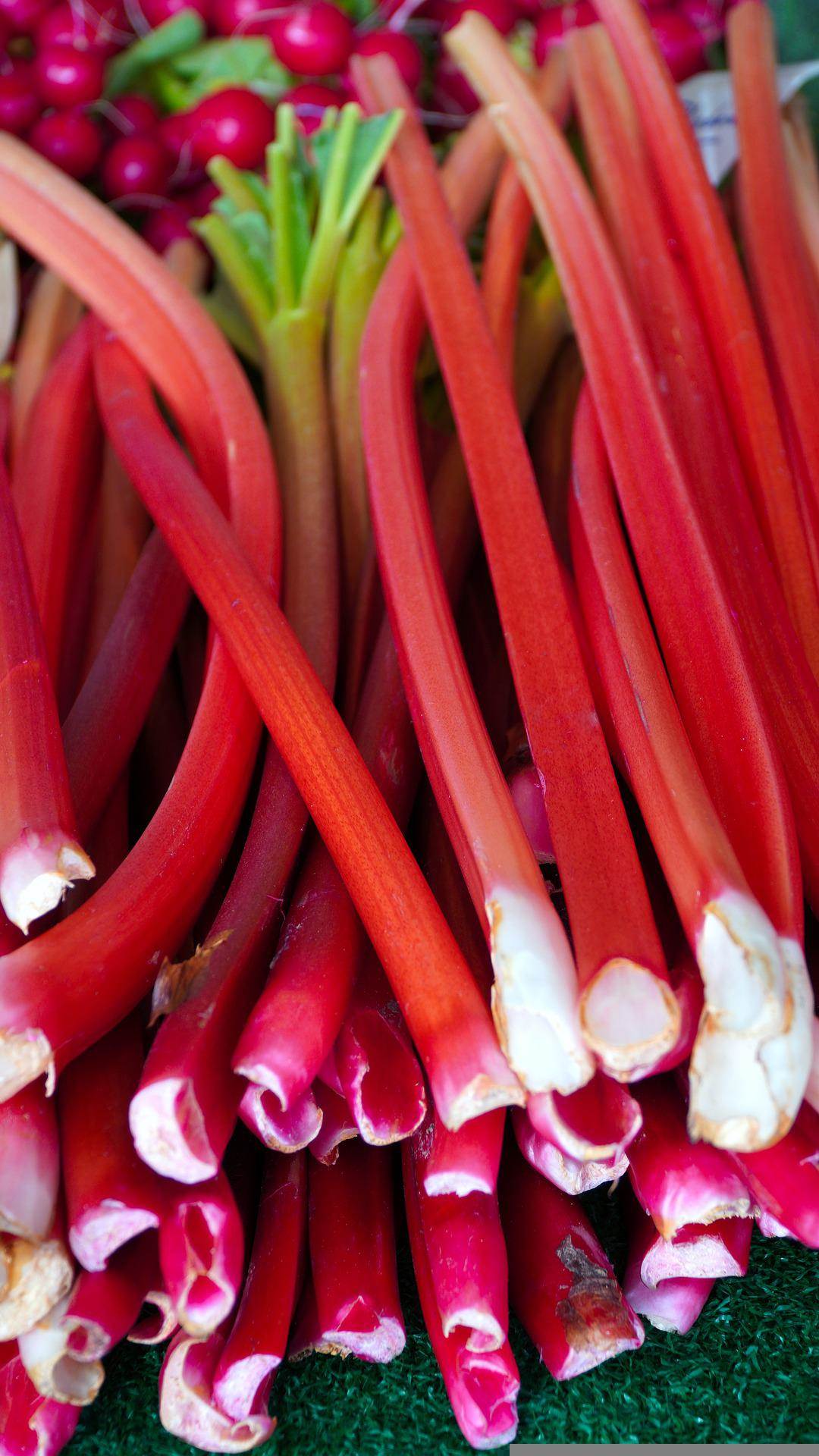 rhubarb-gee724b06e_1920.jpg