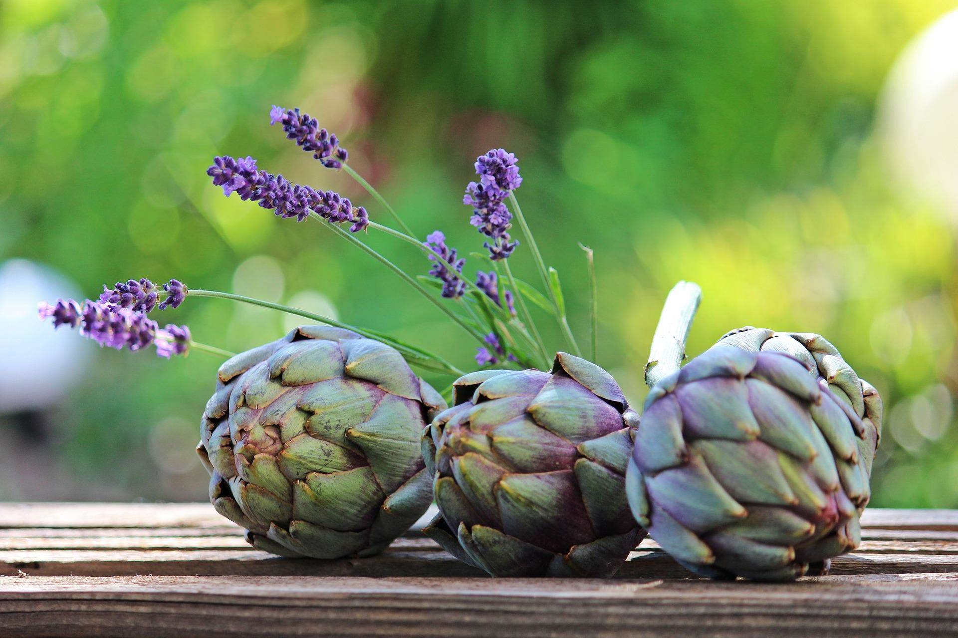 artichokes-g926b25bbd_1920.jpg