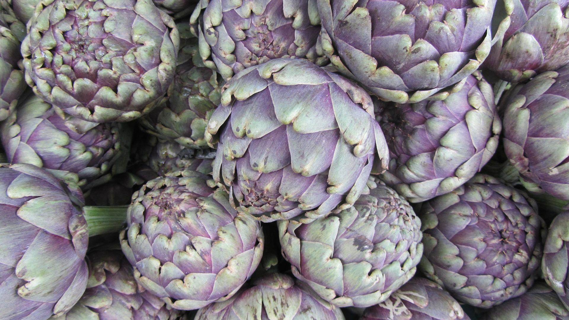 artichoke-gaecc69155_1920.jpg