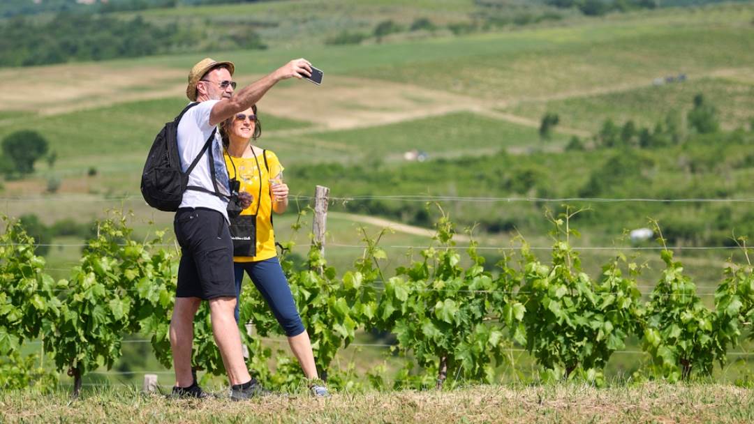 vino (5).jpg