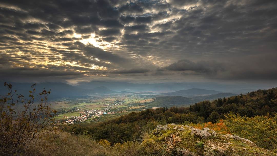 mrsinj (1).jpg