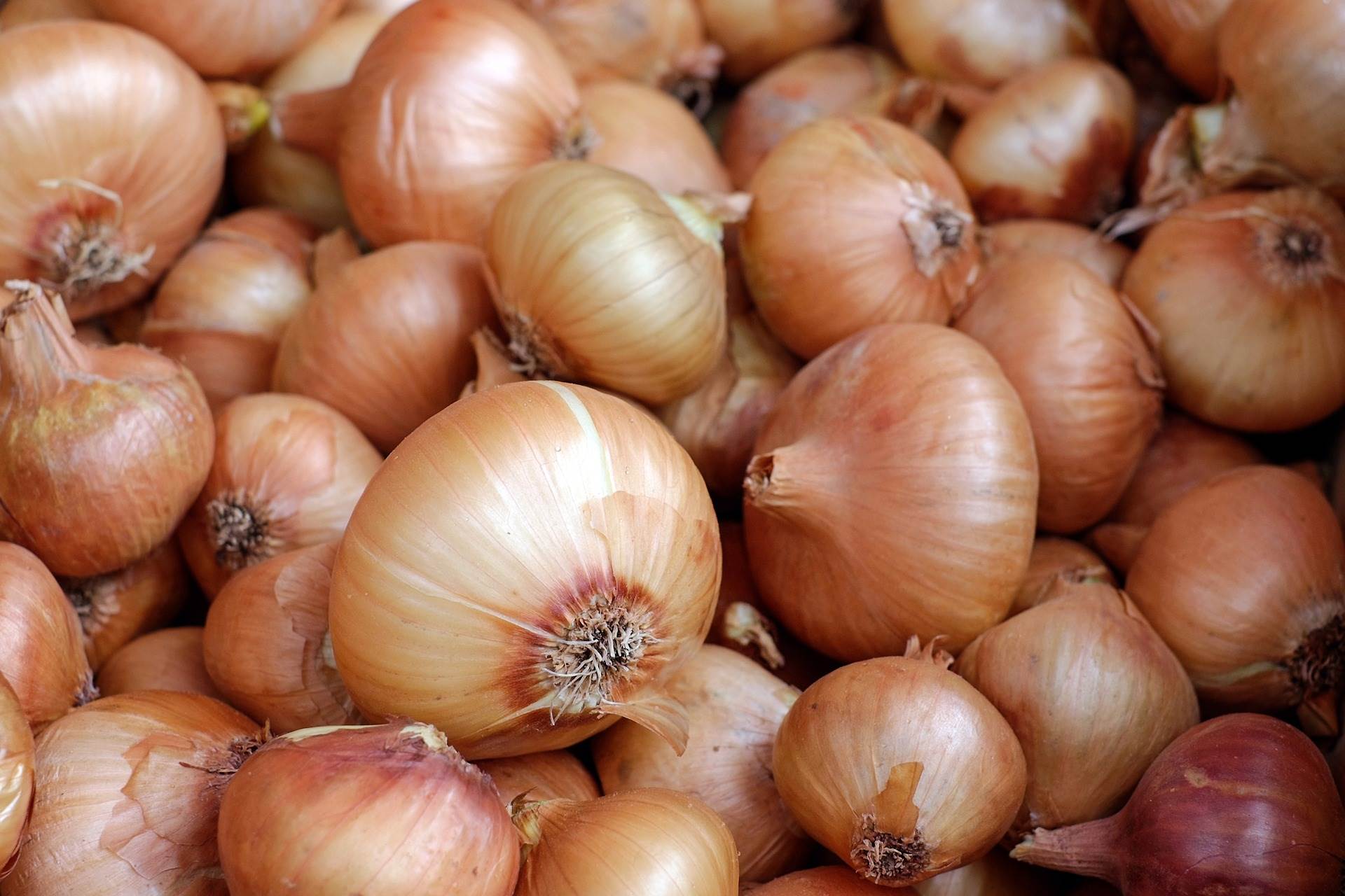 onions-g98dbc1da9_1920.jpg