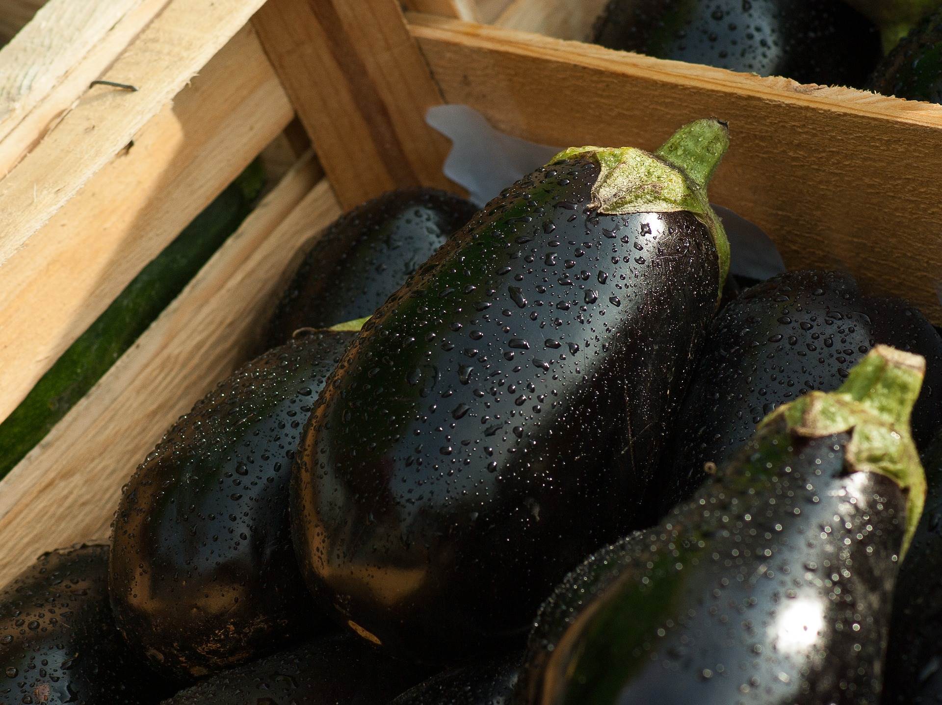 eggplants-gc0ff0fbf7_1920.jpg