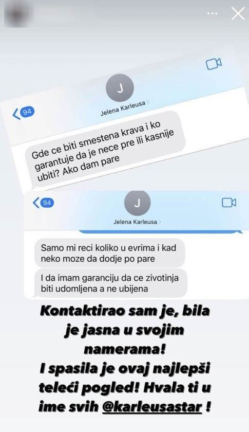 Jelena Karleuša spasila je kravu