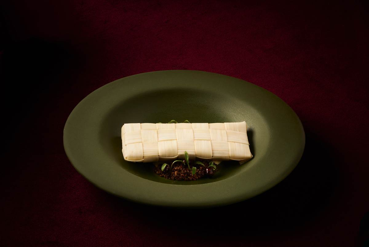 Palmito de chontaduro, lechuga, hormigas culonas.jpeg