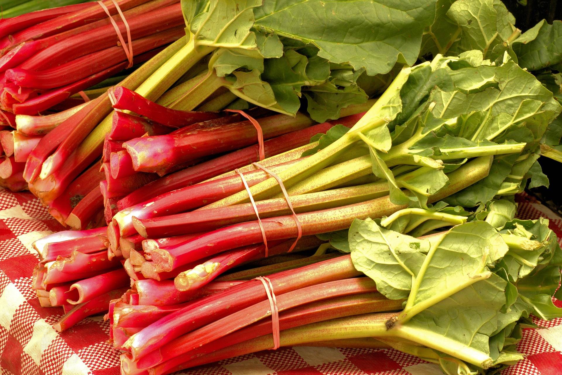 market-fresh-rhubarb-g19647ec49_1920.jpg