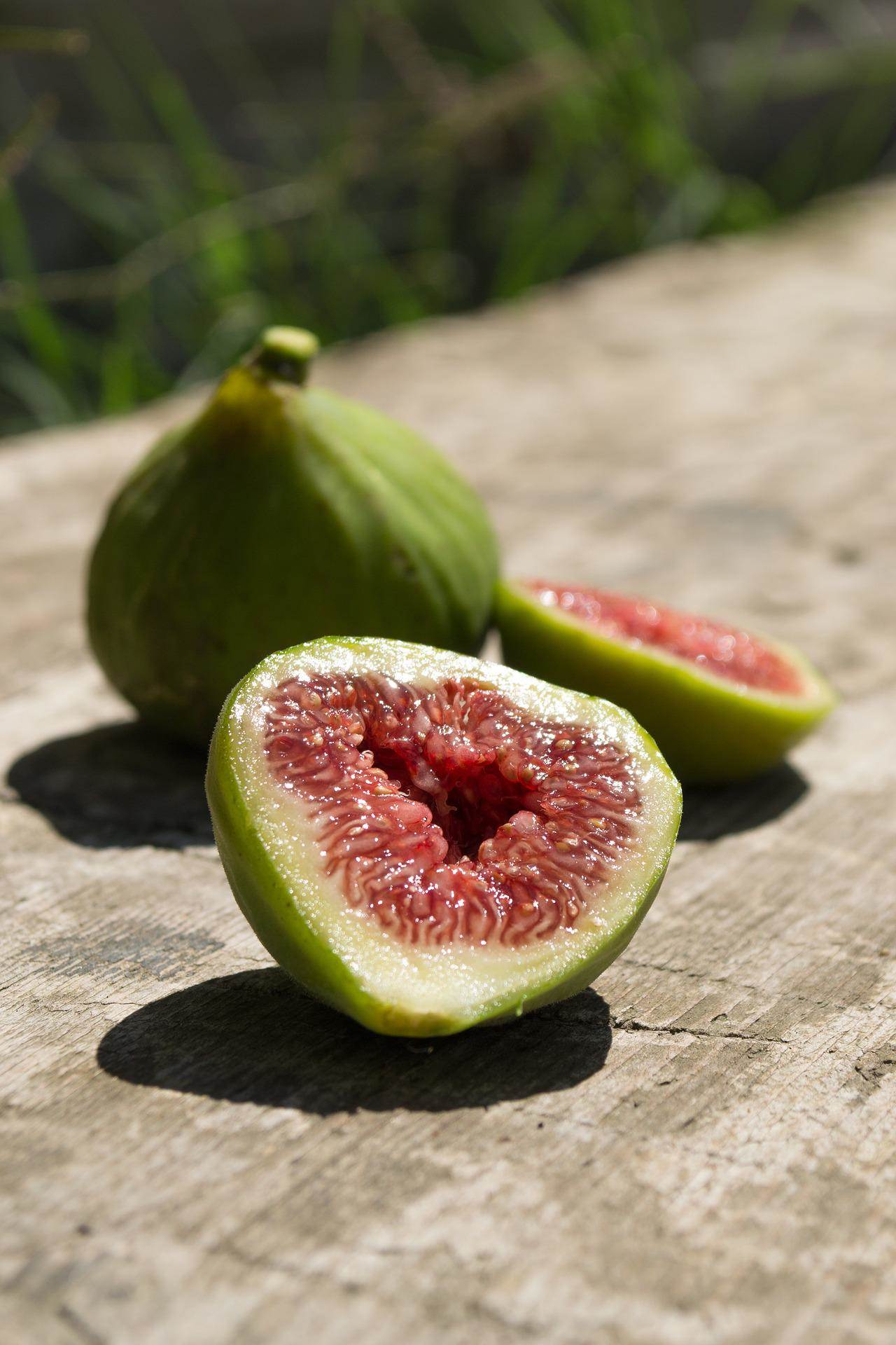 figs-g917eedcb6_1920.jpg