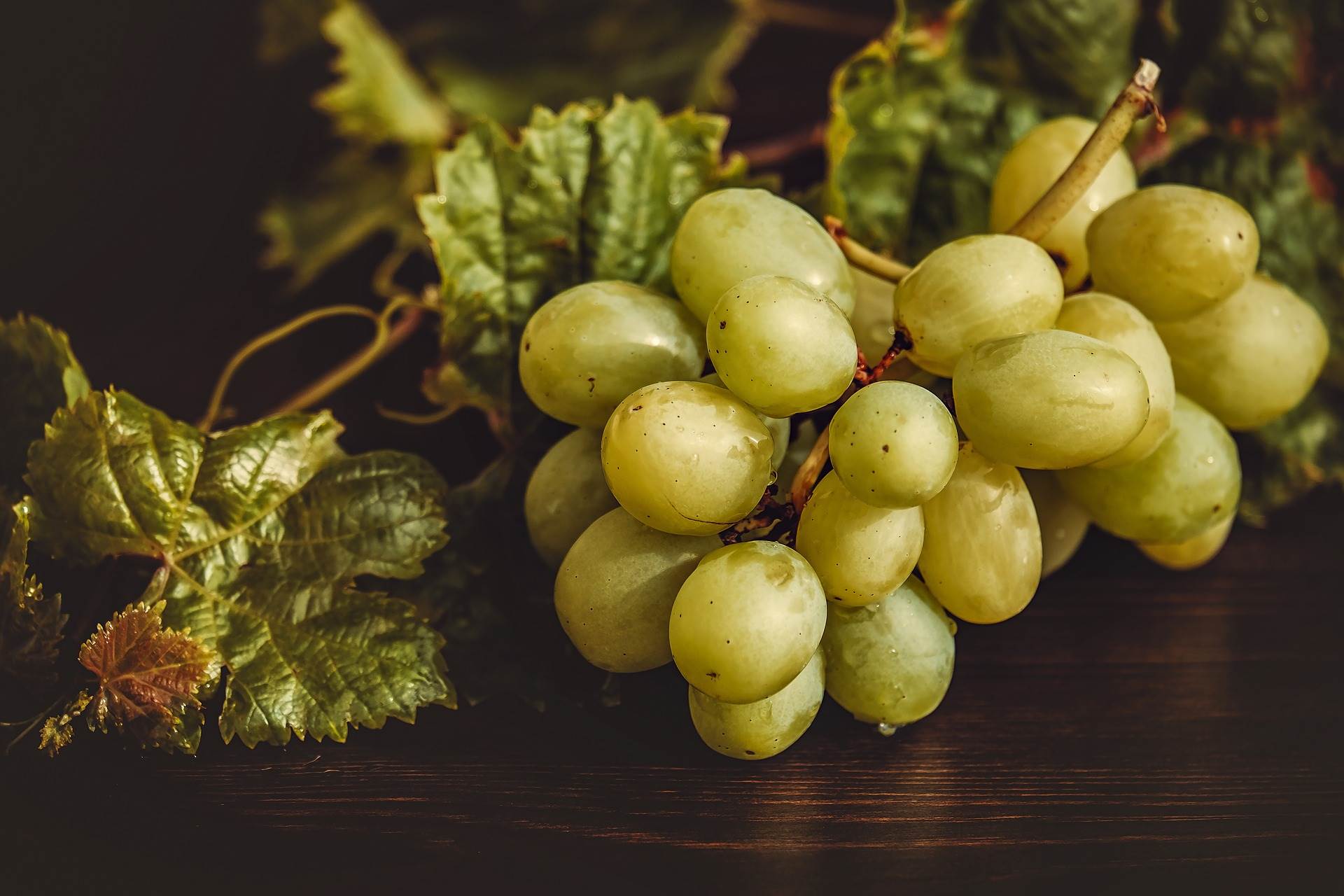 grapes-gc3392a174_1920.jpg