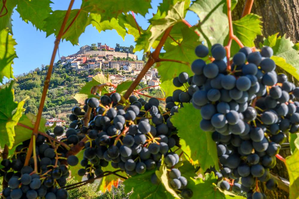 Teran Wine & Walk 1(2).jpg