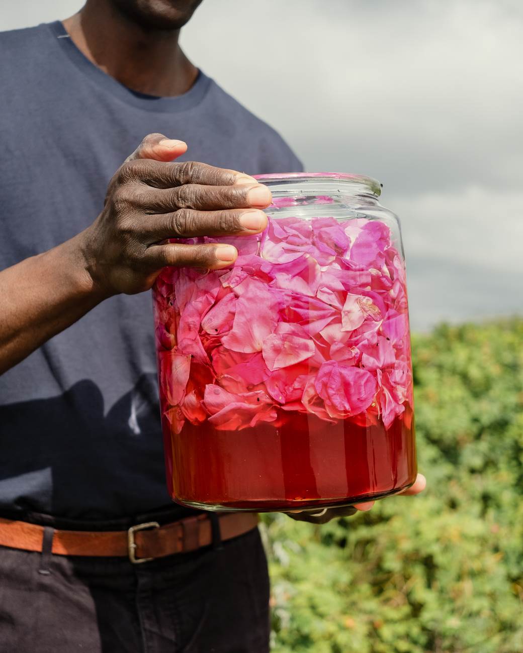 Noma Project 002: Wild Rose Vinegar