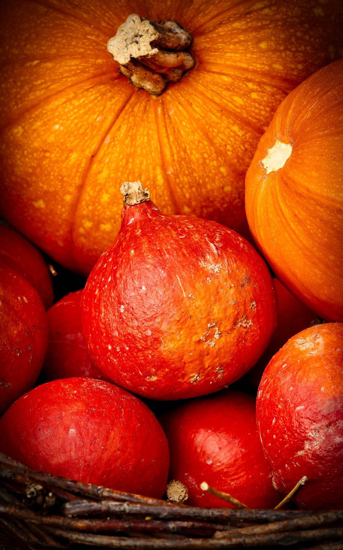 pumpkin-g2f70ce5b6_1920.jpg