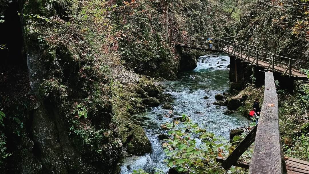 Kanjon Kamačnik oaza je prirode