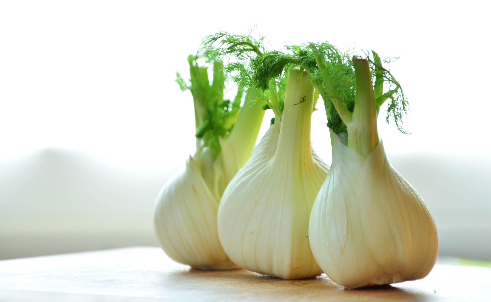 fennel-geceffce44_1920.jpg