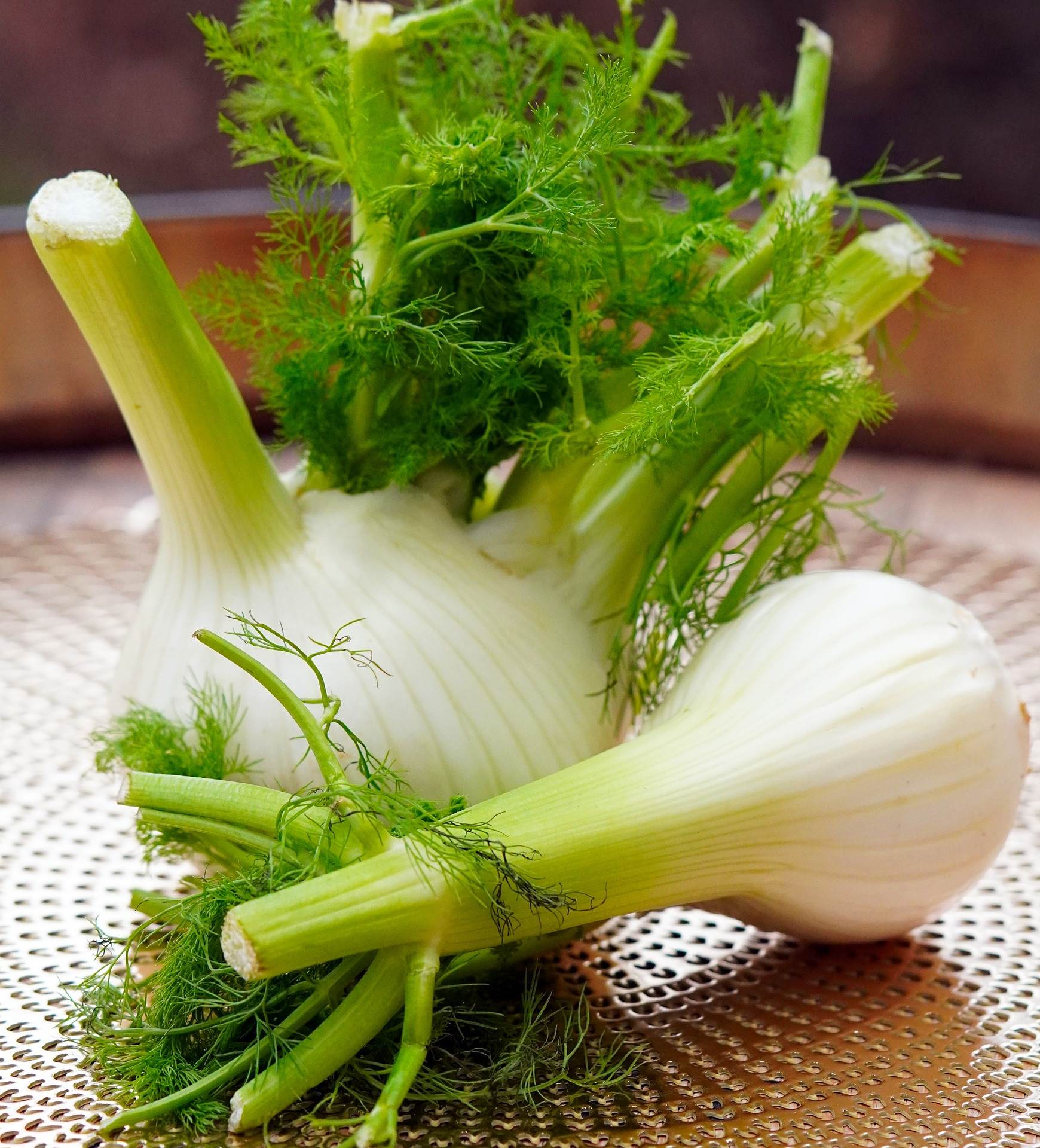 fennel-g25e09e431_1920.jpg