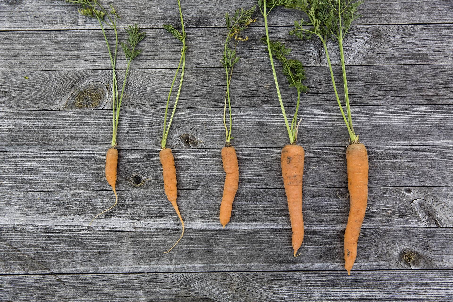 vegetables-g862f2cb96_1920.jpg