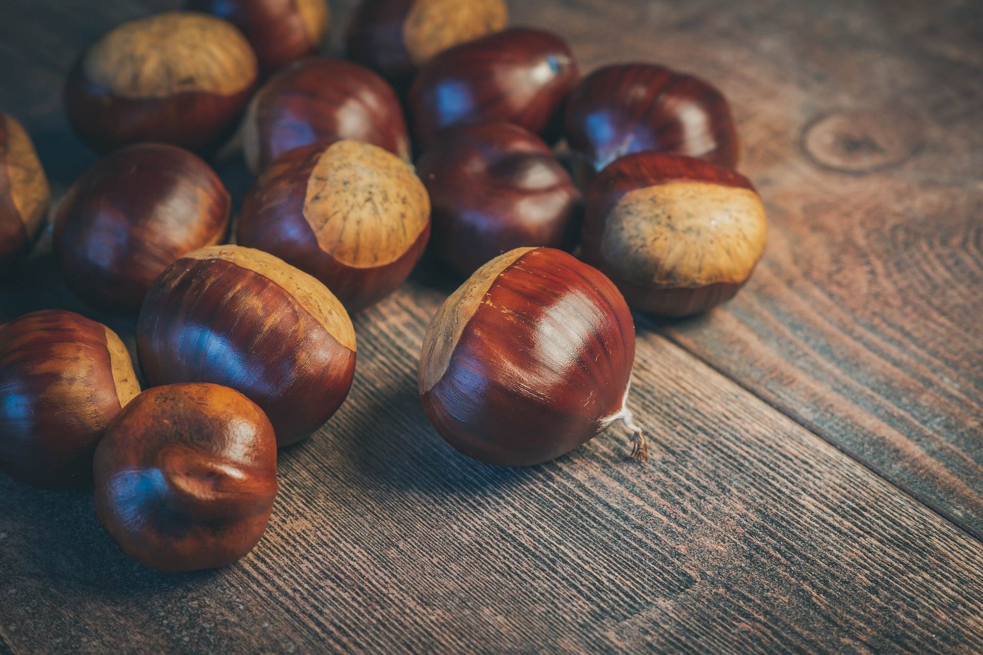 chestnut-gcc0f43df5_1920.jpg