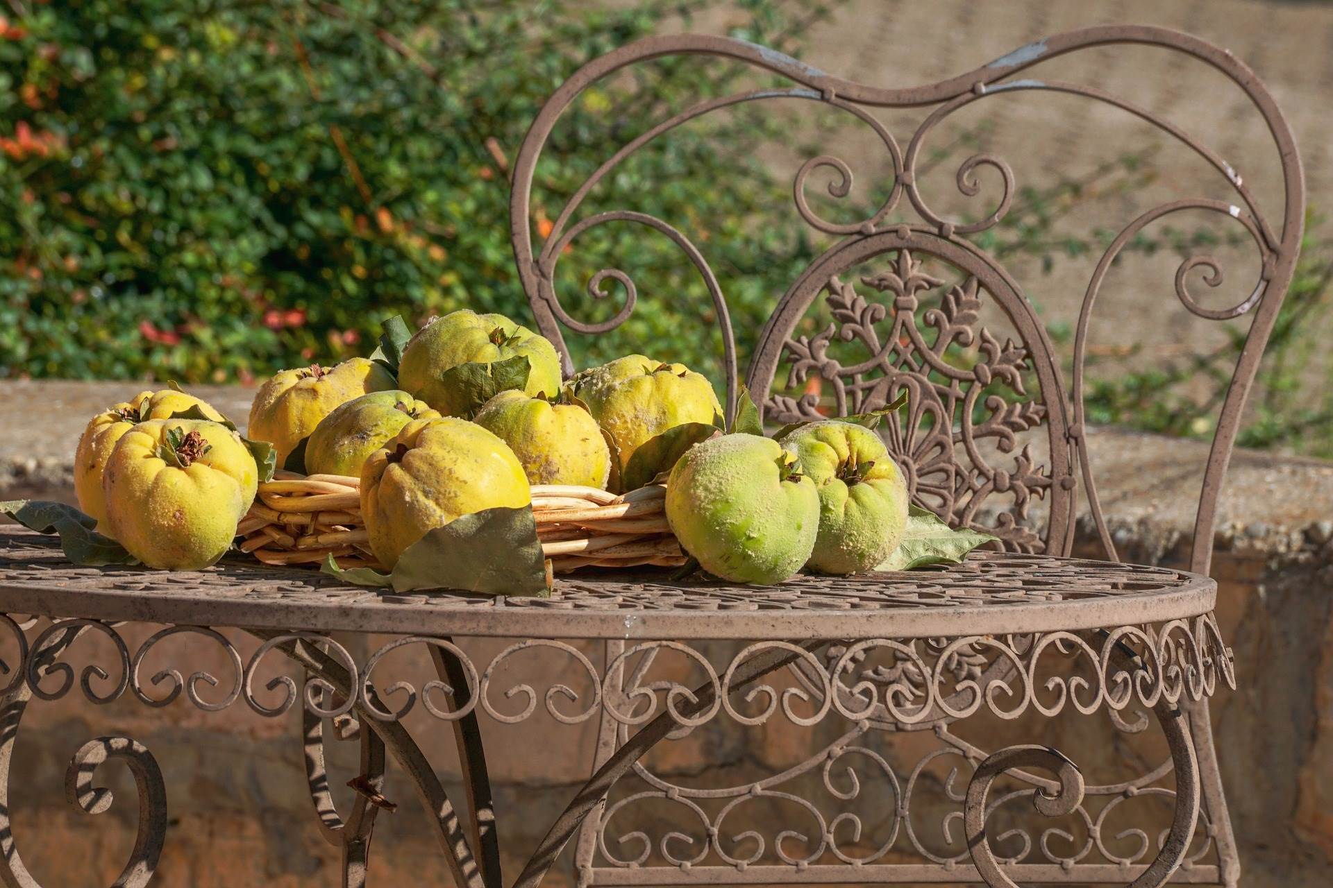 quince-gb7cc3ae28_1920.jpg