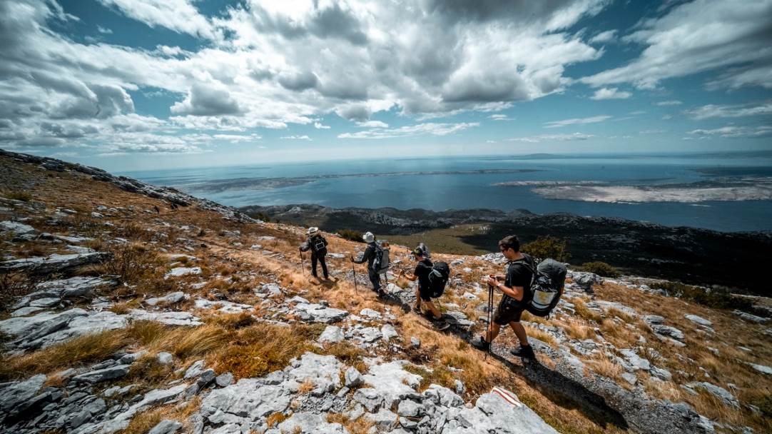 Terrex PR_2 (1)(1).jpg