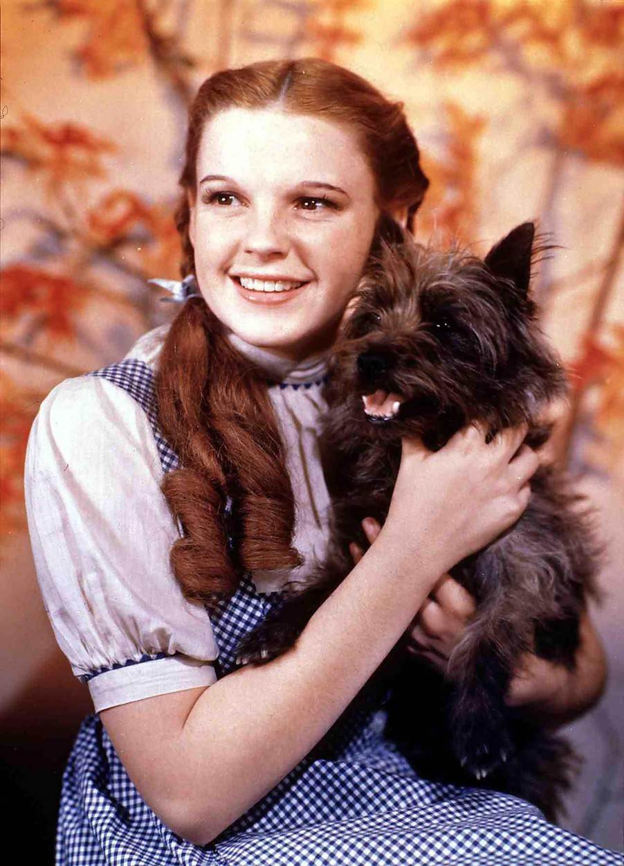 Judy Garland pobacila je zbog karijere