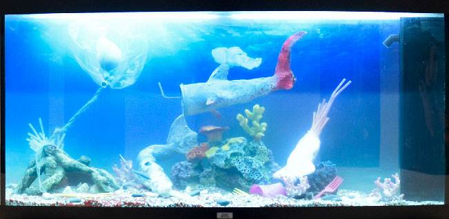 NA SLEME, NA SLEME: Na Medvednici se više nikad necete izgubiti