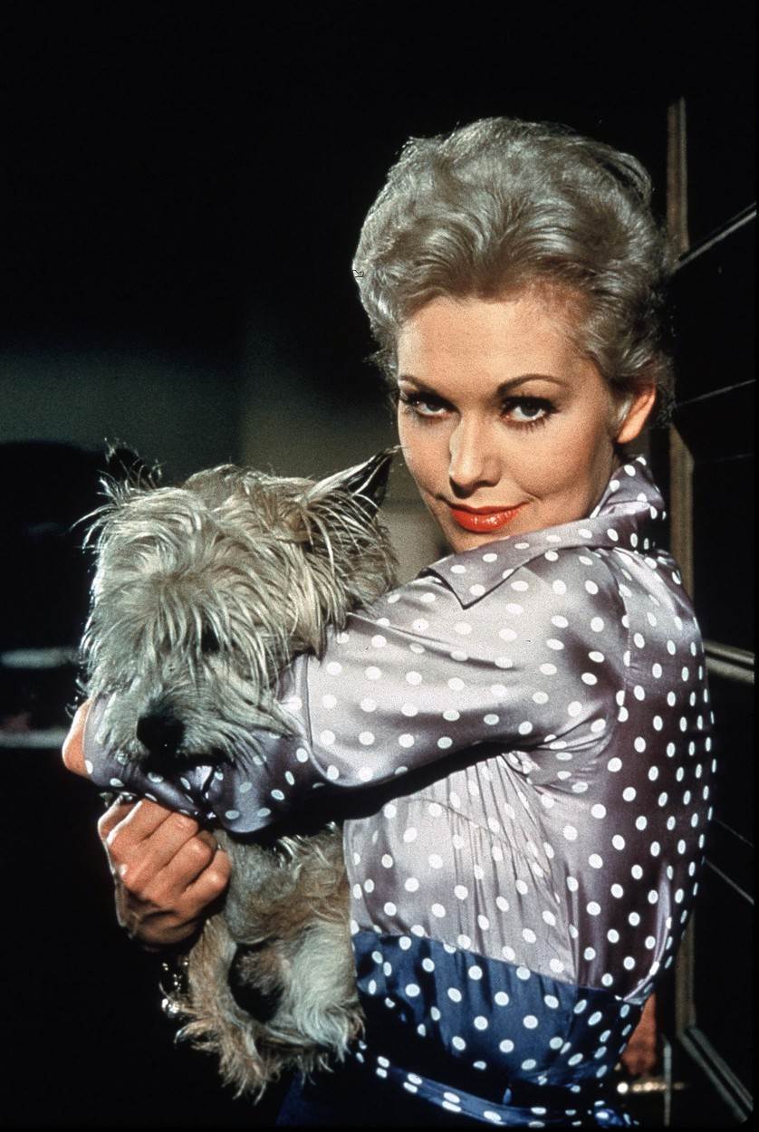 Kim Novak bila je velika zvijezda kad je prekinula karijeru