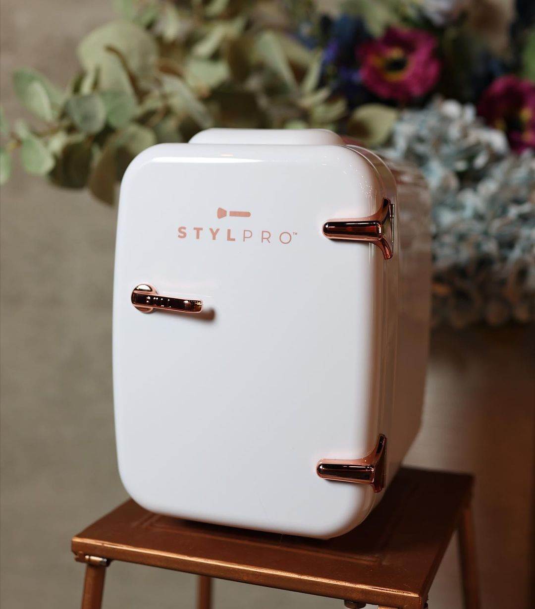 STYLPRO Beauty Fridge