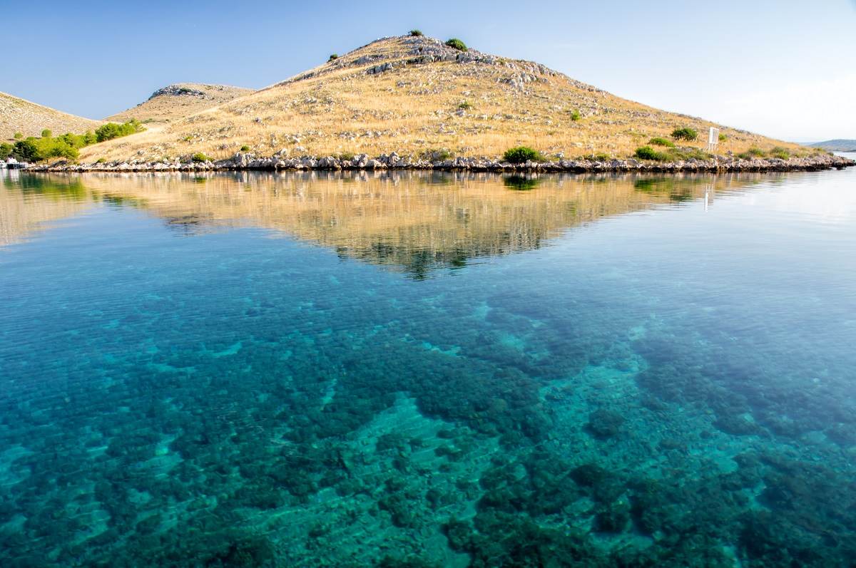 Posidonia Oceanica