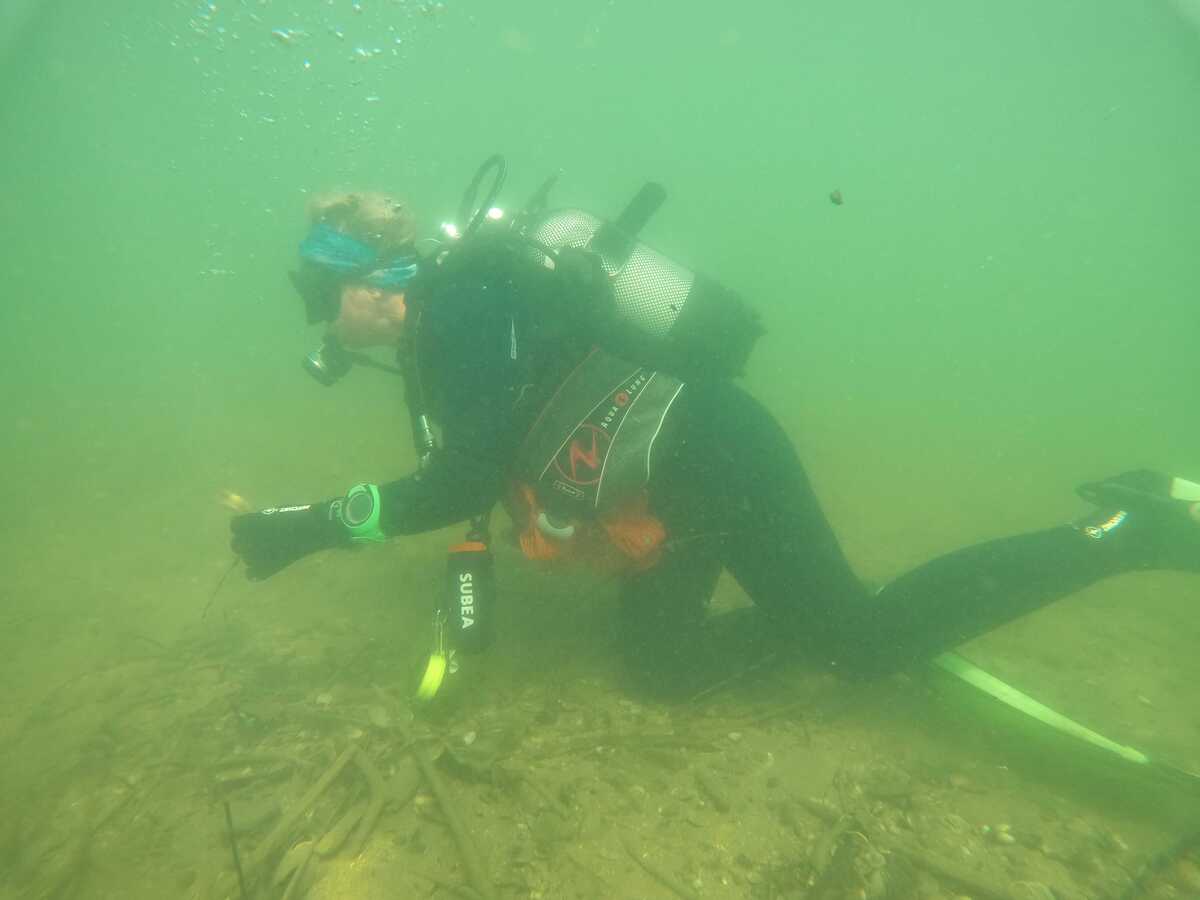 Lidl Hrvatska i Cisto podzemlje_Ciscenje rijeke Kupe_River Cleanup Collective (11).jpg