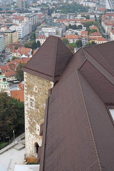 Stari Grad Ljubljana  (12).jpg